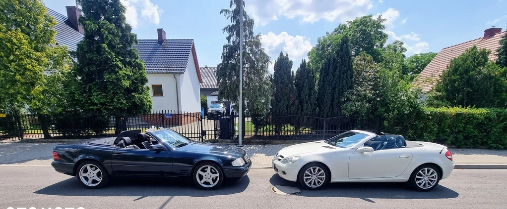 Mercedes-Benz SLK cena 44900 przebieg: 188000, rok produkcji 2007 z Żary małe 172